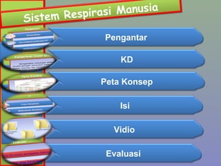 Manusia
Respirasi
Sistem
Pengantar
KD
Peta Konsep
Isi
Vidio
Evaluasi

 