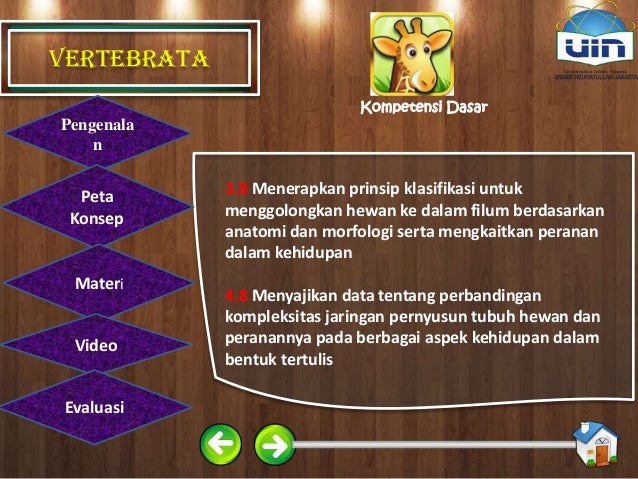 Ppt Vertebrata Ppt Vertebrata