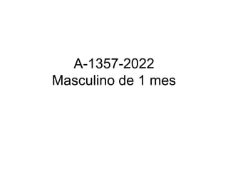 A-1357-2022
Masculino de 1 mes
 