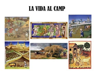 LA VIDA AL CAMP

 