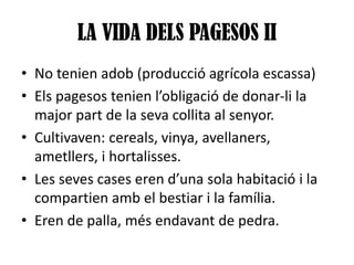 LA VIDA DELS PAGESOS II
• No tenien adob (producció agrícola escassa)
• Els pagesos tenien l’obligació de donar-li la
major part de la seva collita al senyor.
• Cultivaven: cereals, vinya, avellaners,
ametllers, i hortalisses.
• Les seves cases eren d’una sola habitació i la
compartien amb el bestiar i la família.
• Eren de palla, més endavant de pedra.

 