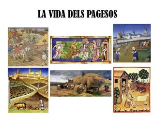 LA VIDA DELS PAGESOS

 