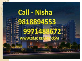 nisha 9958.,77.1358 ambience builders and developers gurgaon