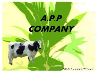 ANIMAL FEED-PELLET
A.P.P
COMPANY
 