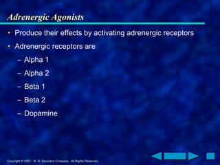 Copyright © 2001. W. B. Saunders Company. All Rights Reserved.
Adrenergic Agonists
• Produce their effects by activating adrenergic receptors
• Adrenergic receptors are
– Alpha 1
– Alpha 2
– Beta 1
– Beta 2
– Dopamine
 