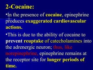 2-Cocaine:2-Cocaine:
•In the presence ofIn the presence of cocainecocaine, epinephrine, epinephrine
producesproduces exaggerated cardiovascularexaggerated cardiovascular
actions.actions.
•This is due to the ability of cocaine toThis is due to the ability of cocaine to
preventprevent reuptakereuptake of catecholaminesof catecholamines intointo
the adrenergic neuron;the adrenergic neuron; thus, likethus, like
norepinephrine,norepinephrine, epinephrine remains atepinephrine remains at
the receptor site forthe receptor site for longer periods oflonger periods of
time.time.
 