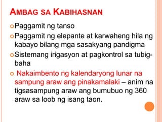 AMBAG SA KABIHASNAN
Paggamit ng tanso
Paggamit ng elepante at karwaheng hila ng
kabayo bilang mga sasakyang pandigma
Sistemang irigasyon at pagkontrol sa tubig-
baha
 Nakaimbento ng kalendaryong lunar na
sampung araw ang pinakamalaki – anim na
tigsasampung araw ang bumubuo ng 360
araw sa loob ng isang taon.
 