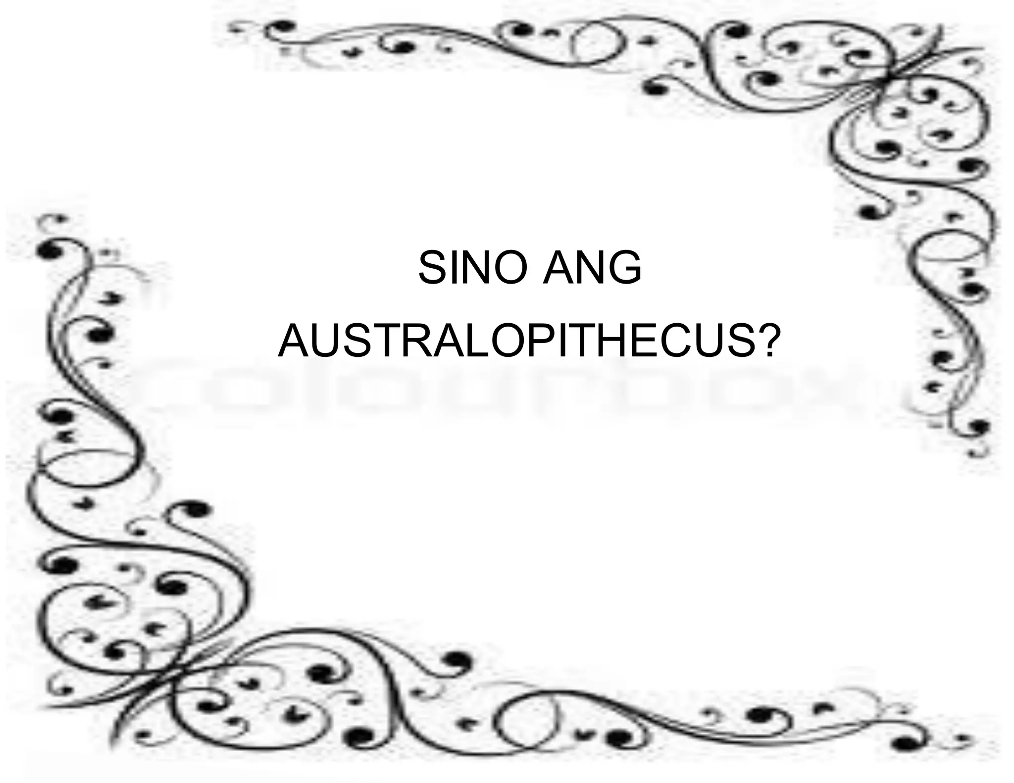 SINO ANG 
AUSTRALOPITHECUS? 
 