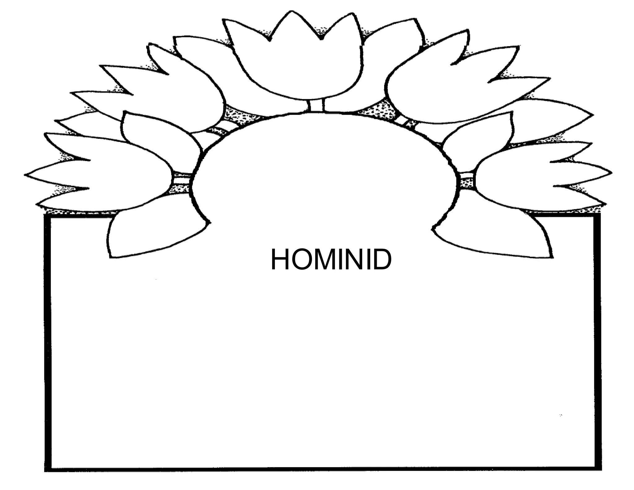 HOMINID 
 