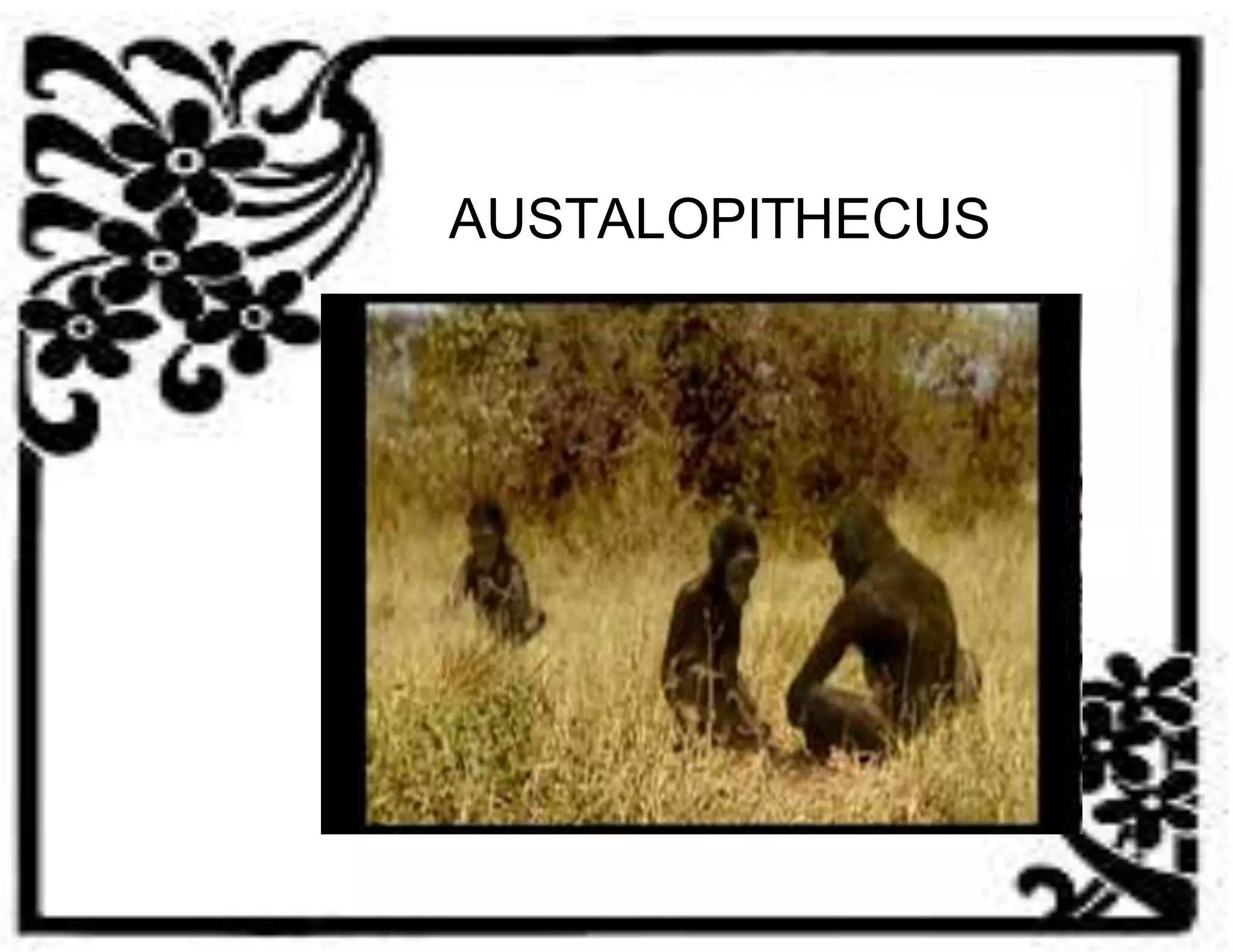 AUSTALOPITHECUS 
 