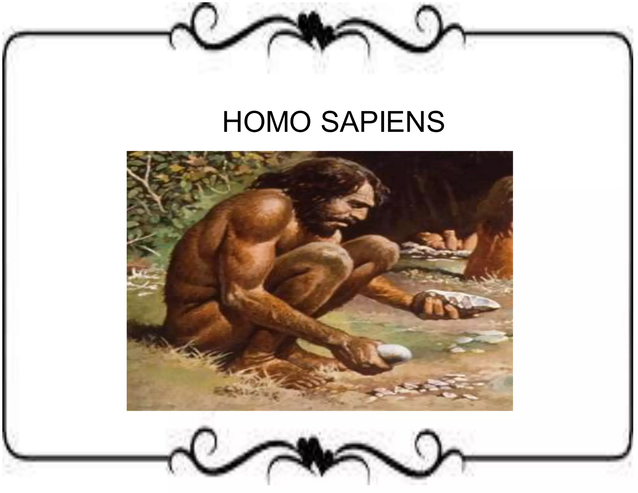 HOMO SAPIENS 
 