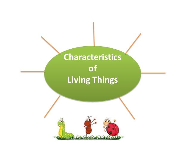 Characteristics of Living Things Elementary or Primary Scope