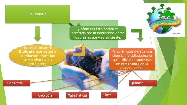 La ecología Ambiental con sus diferentes relaciones con