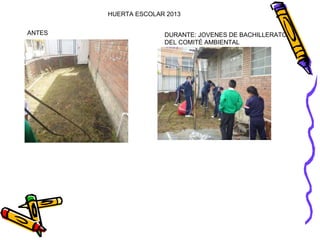 Huerta escolar: el lombricultivo, formación de compost y surcos listos para sembrar 
trabajo realizado por CAE de jóvenes ...