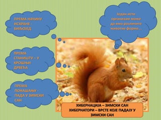 Један исти 
организам може 
да има различите 
животне форме... 
ПРЕМА НАЧИНУ 
ИСХРАНЕ - 
БИЉОЈЕД 
ПРЕМА 
СТАНИШТУ – У 
КРОШЊИ 
ДРВЕЋА 
ПРЕМА 
ПОНАШАЊУ - 
ПАДА У ЗИМСКИ 
САН 
ХИБЕРНАЦИЈА – ЗИМСКИ САН 
ХИБЕРНАТОРИ – ВРСТЕ КОЈЕ ПАДАЈУ У 
ЗИМСКИ САН 
 