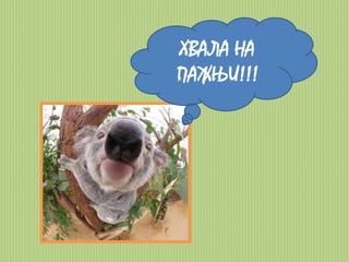 ХВАЛА НА 
ПАЖЊИ!!! 
