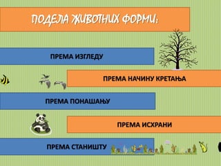 ПОДЕЛА ЖИВОТНИХ ФОРМИ: 
ПРЕМА ИЗГЛЕДУ 
ПРЕМА НАЧИНУ КРЕТАЊА 
ПРЕМА ПОНАШАЊУ 
ПРЕМА ИСХРАНИ 
ПРЕМА СТАНИШТУ 
 