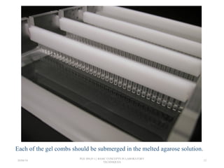 Each of the gel combs should be submerged in the melted agarose solution.
26/04/14
PGS 504{0+1} BASIC CONCEPTS IN LABORATORY
TECHNIQUES
12
 