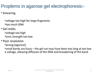 Proplems in agarose gel electrophoresis:-
• Smearing
•voltage too high for large fragments
•too much DNA
• Gel melts
•voltage too high
•ionic strength too low
• Poor resolution
•wrong [agarose]
•small bands are fuzzy – the gel run may have been too long at too low
a voltage, allowing diffusion of the DNA and broadening of the band
26/04/14
PGS 504{0+1} BASIC CONCEPTS IN LABORATORY
TECHNIQUES
26
 