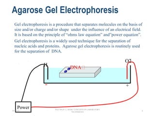 Agarose Gel Electrophoresis
Gel electrophoresis is a procedure that separates molecules on the basis of
size and/or charge and/or shape under the influence of an electrical field.
It is based on the principle of “ohms law equation” and”power equation”.
Gel electrophoresis is a widely used technique for the separation of
nucleic acids and proteins. Agarose gel electrophoresis is routinely used
for the separation of DNA.
e will be using agarose gel electrophoresis to
determine the presence and size of PCR
products. +-
Power
DNA
H
O2
+
26/04/14
PGS 504{0+1} BASIC CONCEPTS IN LABORATORY
TECHNIQUES
4
 