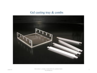 Gel casting tray & combs
26/04/14
PGS 504{0+1} BASIC CONCEPTS IN LABORATORY
TECHNIQUES
7
 