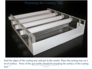 Seal the edges of the casting tray and put in the combs. Place the casting tray on a
level surface. None of the gel combs should be touching the surface of the casting
tray.
Preparing the Casting Tray
26/04/14
PGS 504{0+1} BASIC CONCEPTS IN LABORATORY
TECHNIQUES
8
 