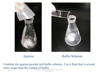 Agarose Buffer Solution
Combine the agarose powder and buffer solution. Use a flask that is several
times larger than the volume of buffer.
26/04/14
PGS 504{0+1} BASIC CONCEPTS IN LABORATORY
TECHNIQUES
9
 