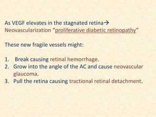 As VEGF elevates in the stagnated retina
Neovascularization “proliferative diabetic retinopathy”
These new fragile vessels might:
1. Break causing retinal hemorrhage.
2. Grow into the angle of the AC and cause neovascular
glaucoma.
3. Pull the retina causing tractional retinal detachment.
 
