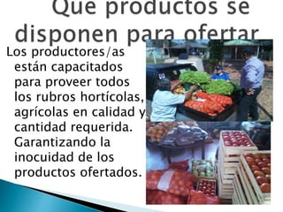 Los productores/as
están capacitados
para proveer todos
los rubros hortícolas,
agrícolas en calidad y
cantidad requerida.
Garantizando la
inocuidad de los
productos ofertados.