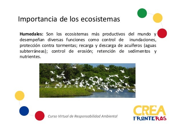 Ecosistemas Estratégicos