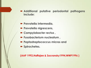  Additional putative periodontal pathogens
include:
 Prevotella intermedia,
 Prevotella nigrescens,
 Campylobacter rectus ,
 Fusobacterium nucleatum ,
 Peptostreptococcus micros and
 Spirochetes.
(AAP 1992,Haffajee & Socransky1994,WWP1996 )
 