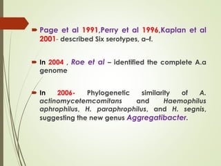  Page et al 1991,Perry et al 1996,Kaplan et al
2001- described Six serotypes, a–f.
 In 2004 , Roe et al – identified the complete A.a
genome
 In 2006- Phylogenetic similarity of A.
actinomycetemcomitans and Haemophilus
aphrophilus, H. paraphrophilus, and H. segnis,
suggesting the new genus Aggregatibacter.
 