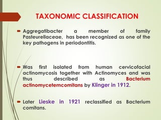 TAXONOMIC CLASSIFICATION
 Aggregatibacter a member of family
Pasteurellaceae, has been recognized as one of the
key pathogens in periodontitis.
 Was first isolated from human cervicofacial
actinomycosis together with Actinomyces and was
thus described as Bacterium
actinomycetemcomitans by Klinger in 1912.
 Later Lieske in 1921 reclassified as Bacterium
comitans.
 