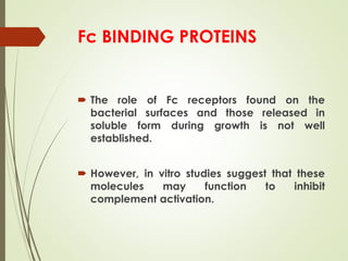 Fc BINDING PROTEINS
 The role of Fc receptors found on the
bacterial surfaces and those released in
soluble form during growth is not well
established.
 However, in vitro studies suggest that these
molecules may function to inhibit
complement activation.
 