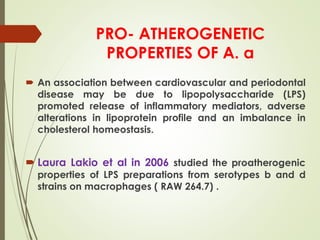 PRO- ATHEROGENETIC
PROPERTIES OF A. a
 An association between cardiovascular and periodontal
disease may be due to lipopolysaccharide (LPS)
promoted release of inflammatory mediators, adverse
alterations in lipoprotein profile and an imbalance in
cholesterol homeostasis.
 Laura Lakio et al in 2006 studied the proatherogenic
properties of LPS preparations from serotypes b and d
strains on macrophages ( RAW 264.7) .
 