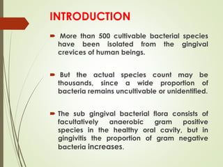 INTRODUCTION
 More than 500 cultivable bacterial species
have been isolated from the gingival
crevices of human beings.
 But the actual species count may be
thousands, since a wide proportion of
bacteria remains uncultivable or unidentified.
 The sub gingival bacterial flora consists of
facultatively anaerobic gram positive
species in the healthy oral cavity, but in
gingivitis the proportion of gram negative
bacteria increases.
 