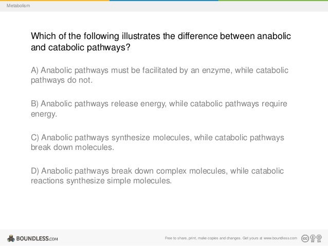 A. Energy And Metabolism Check Your Learning A. Energy And Metabolism Check Your Learning