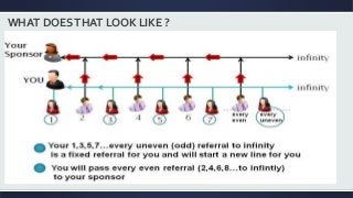 WHAT DOESTHAT LOOK LIKE ?
 