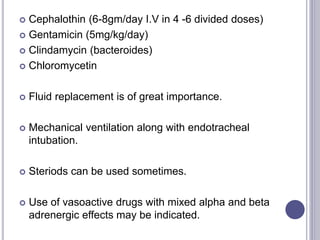  Cephalothin (6-8gm/day I.V in 4 -6 divided doses)
 Gentamicin (5mg/kg/day)
 Clindamycin (bacteroides)
 Chloromycetin
 Fluid replacement is of great importance.
 Mechanical ventilation along with endotracheal
intubation.
 Steriods can be used sometimes.
 Use of vasoactive drugs with mixed alpha and beta
adrenergic effects may be indicated.
 