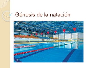 Génesis de la natación
 
