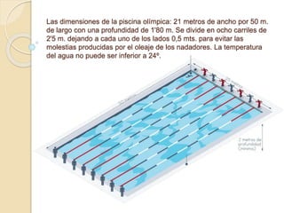 Las dimensiones de la piscina olímpica: 21 metros de ancho por 50 m.
de largo con una profundidad de 1'80 m. Se divide en ocho carriles de
2'5 m. dejando a cada uno de los lados 0,5 mts. para evitar las
molestias producidas por el oleaje de los nadadores. La temperatura
del agua no puede ser inferior a 24º.
 