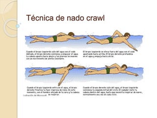Técnica de nado crawl
 