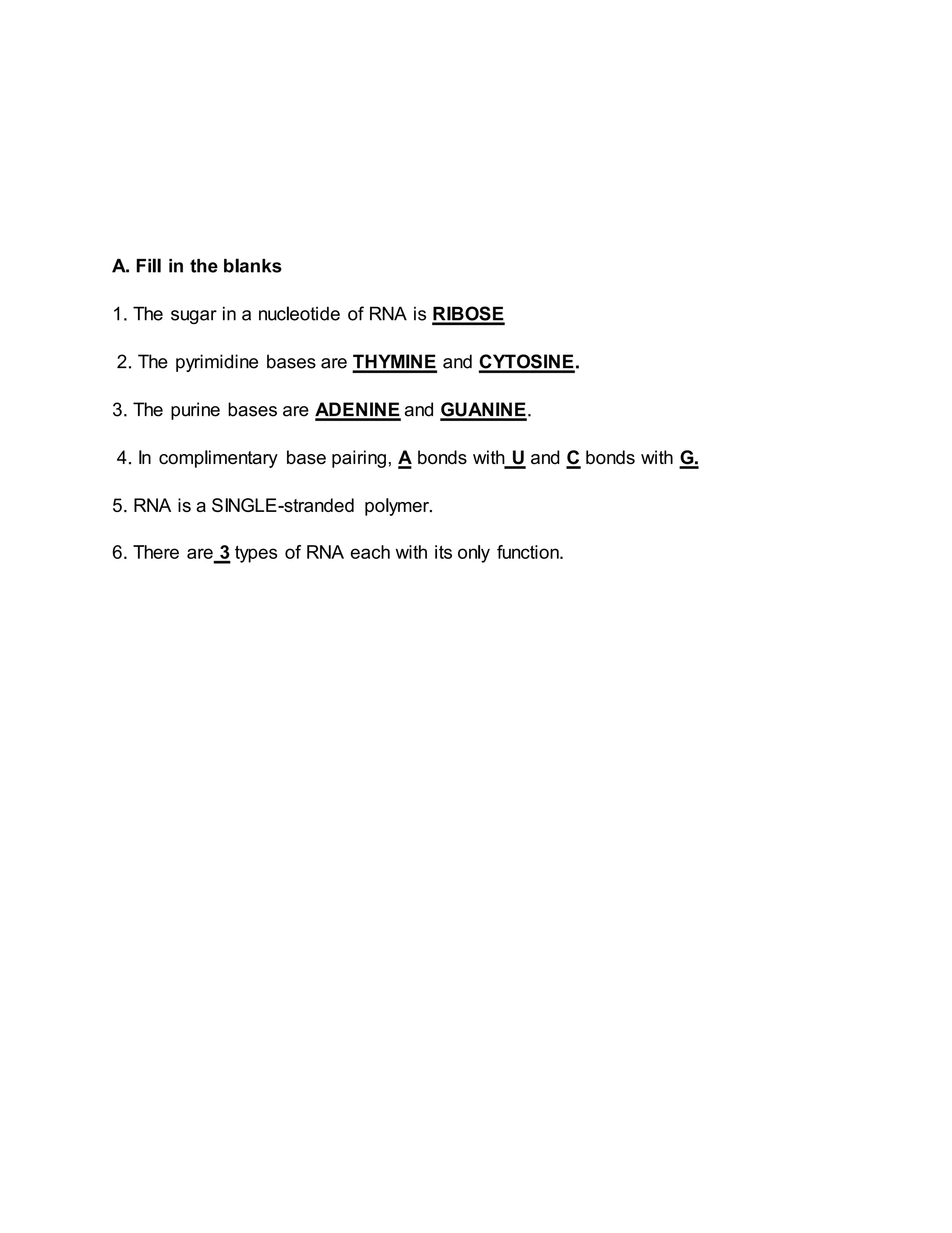 RNA worksheet | DOCX