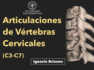 Articulaciones
de Vértebras
Cervicales
(C3-C7)
Ignacio Briones
 