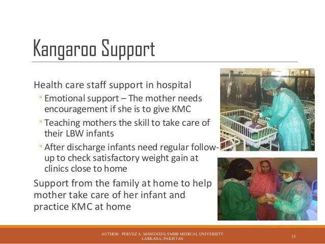 Grey Kangaroo Diagram