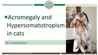 WWW.UVSONLINE.COM
Acromegaly and
Hypersomatotropism
in cats
DR. ALISON KHOO
11/14/2017CE FALL 2017 | ACROMEGALY & HYPERSOMATOTROPISM IN CATS
 