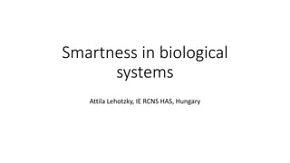 Smartness in biological
systems
Attila Lehotzky, IE RCNS HAS, Hungary
 