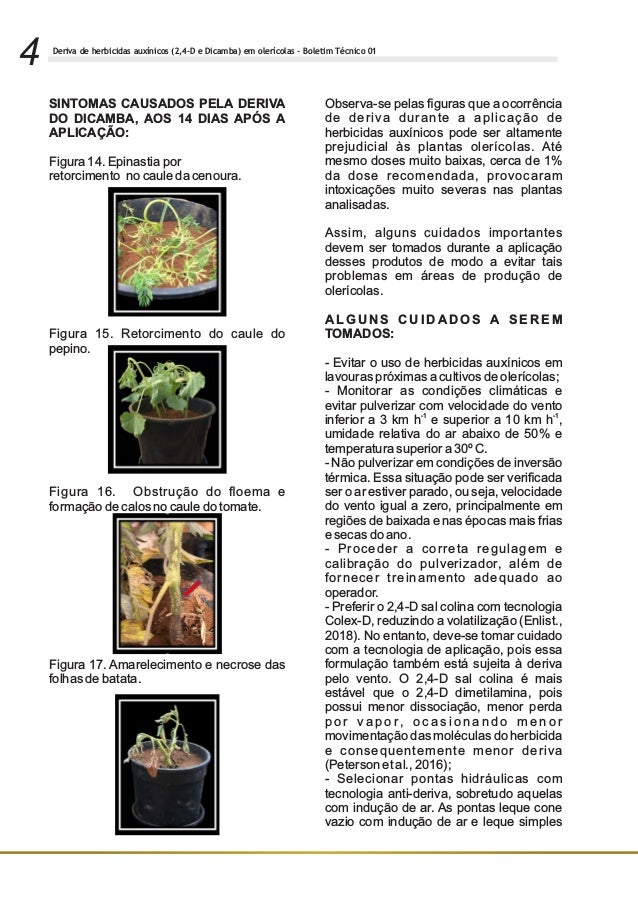 Deriva De Herbicidas Auxinicos 2 4 D E Dicamba Em Olericolas
