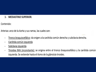 Anatomía del Mediastino (Posterior)