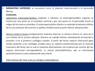 Anatomía del Mediastino (Posterior)